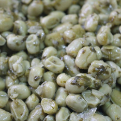 Vegan Broad Beans (foul Akhdar)