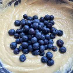 Low Carb Greek Yogurt Blueberry Muffins
