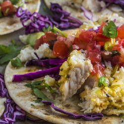Baja-style Fish Tacos