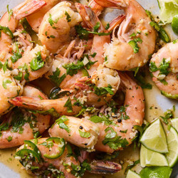 Yucatan Shrimp