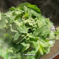 Fried Mint And Ribs From Yunnan