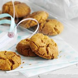 Ginger Fairings