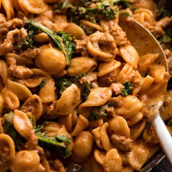 Orecchiette Sausage Pasta In Creamy Tomato Sauce