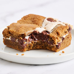 Peanut Butter S'mores Blondies