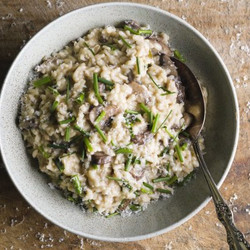 Mushroom And Herb Risotto