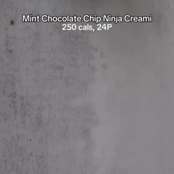 Mint Chocolate Chip Ninja Creami