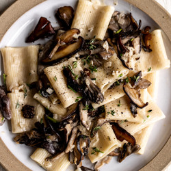 Mushroom Alfredo Pasta