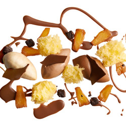 Taste, Textures, And Temperatures Of Chocolate