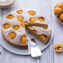 Loquat Cake