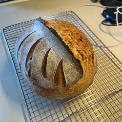 Robot Sourdough (ChatGPT Generated Recipe)