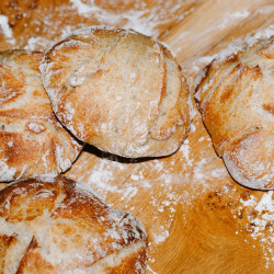 Frühstücksbrötchen