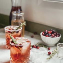 Ginger Cranberry Gin Fizz