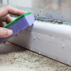 How To Remove Condensation And Mould From Windows