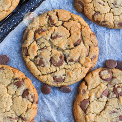 Chewy Chocolate Chip Cookies