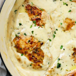 Creamy Ranch Chicken