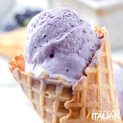 Easy Homemade No Churn Blueberry Ice Cream Recipe