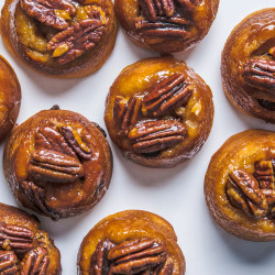 Schnecken