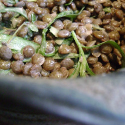 Creamy Herbed Lentils