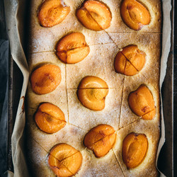 Apricot Yogurt Cake From The Carpathia Cookbook
