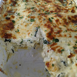 Chicken Alfredo Lasagna