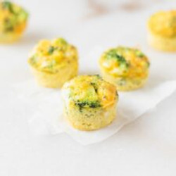 Broccoli Cheddar Egg Bites For Baby And Toddler