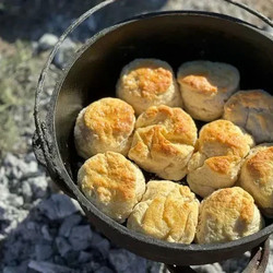 2 Ingredient Biscuits