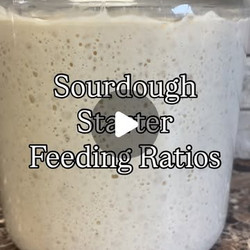 Sourdough Feeding Ratios Explained