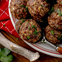 Easy Venison Meatballs