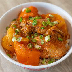 Vietnamese Chicken Ragu / Ragu Ga