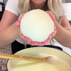 Homemade Mozzarella Cheese