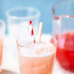 Rhubarb Cordial