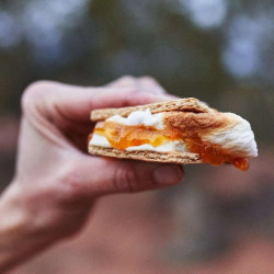 White Chocolate Apricot S'mores
