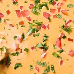 Best Queso Dip