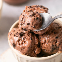 Ninja Creami Chocolate Protein Ice Cream Recipe