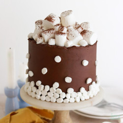 Hot Cocoa Cake Recipe