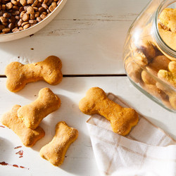 Sourdough Discard Dog Treats
