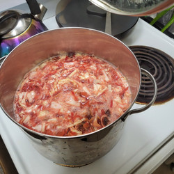 Borscht (Barsciai)