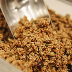 Sprouting Seeds And Why It Matters