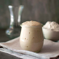 Sourdough Starter With Potato