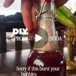 Homemade Fermented Ginger Bug Soda