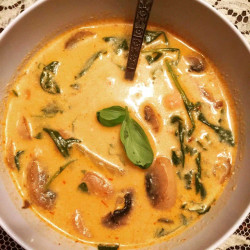 Low Fodmap Thai Coconut Spice Soup