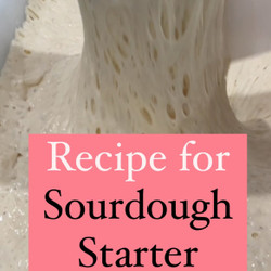Sourdough Starter Recipe