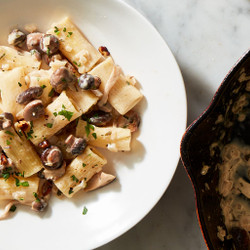 Creamy Mushroom Pasta