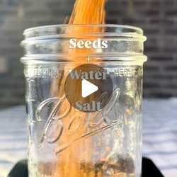 Fermented Mustard