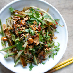 Cold Cucumber And Shirataki Noodle Salad With Hot Sichuan Sesame Dressing