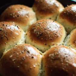 Homemade Rosemary Garlic Dinner Rolls Recipe