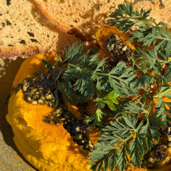 Humus Di Carote Con Yogurt Greco E Za’atar