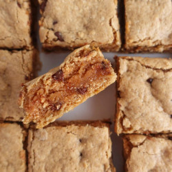 Soft &amp; Gooey Protein Blondies