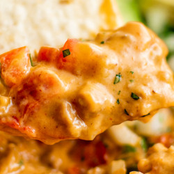 Taco Beer Cheese Dip