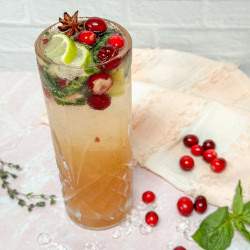 Cranberry Moscow Mule Mocktail